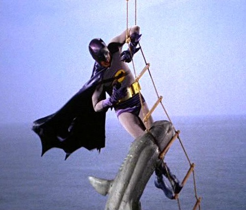 "Rápido, Robin, me passe o bat-spray anti-tubarão!"